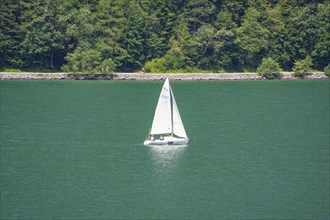 White sailing boat sails on a green lake surrounded by a dense forest, Achernsee, Austria, Germany,