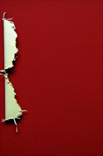 A piece of torn paper with a curled edge set against a bold red background, AI generated