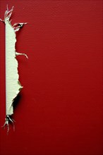 A strip of torn paper against a vibrant red background, highlighting contrast and texture, AI