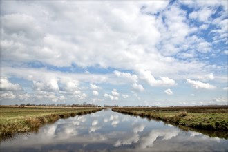 View of a Field in Zaanse Schans, Holland