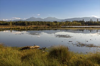 Schonramer Filz, a raised bog near Traunstein, Bavaria in the evening light