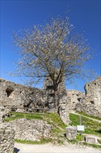 Hohenfreyberg castle ruins near Zell im Allgäu