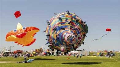 Kite festival in Tossens