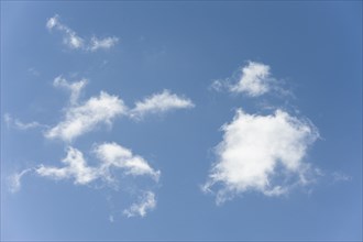 Cloud background. Cloud image