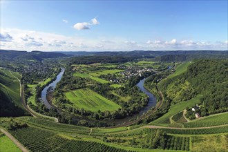 Wiltinger Saarbogen. The river winds through the valley and is surrounded by vineyards and green