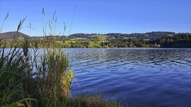 Rottachsee near Sulzberg