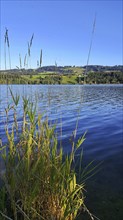 Rottachsee near Sulzberg