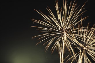 Fireworks, happy new year 2020