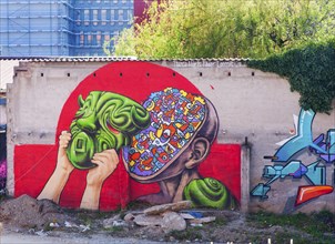 Graffiti, paintings, Werksviertel Munich-Ostbahnhof, site of new concert hall, Munich, Bavaria,