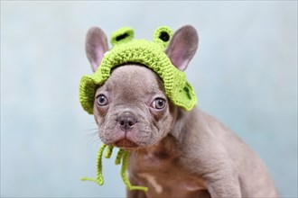 Funny lilac French Bulldog dog puppy with knitted frog hat in front of studio background