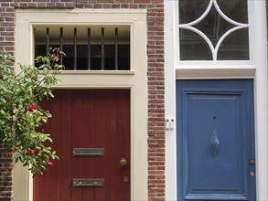 Close-up of two doors in a brick building, one in red and the other in blue, with plants next to