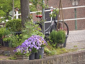 Various flower pots and a bicycle decorate a cobblestone street next to a tree in the city, Leiden,