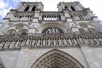 Cathedral Notre Dame de Paris, west facade, Île de la Cité, Paris, France, Europe, Close-up of the