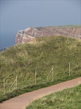 A grassy hill and a hiking trail with sea cliffs in the background, helgoland, germany