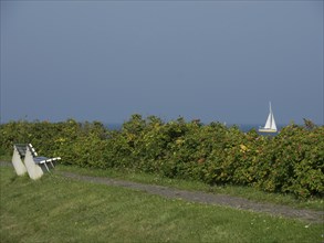 Green bushes and a sailing boat in the background, a path with a bench in front of it, helgoland,