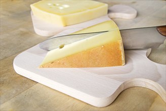Bavarian cheese with knife on a cutting board