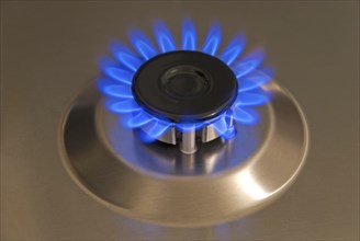 Blue gas flames of a steel gas stove