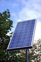 Solar panel in front of a tree and blue sky