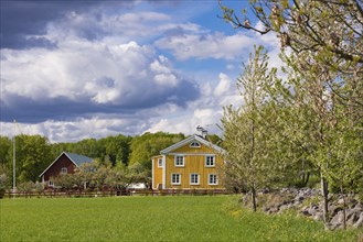 Old traditional wooden farmhouse in rural Sweden in the Smaland region on a spring day. Old