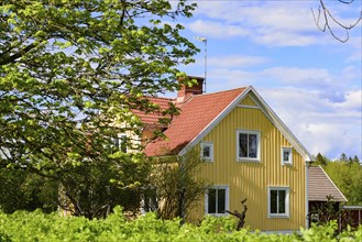 Traditional wooden farmhouse in southern Sweden in a yellow colour scheme. Old traditional wooden