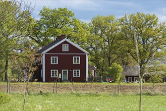 Traditional red farmhouse in rural Sweden in spring. Red wooden house in Sweden. Old, traditional