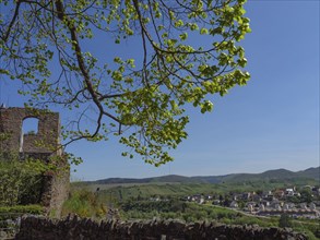 Viewpoint with ruins and leaves in the foreground, view of cityscape under blue sky, saarburg,
