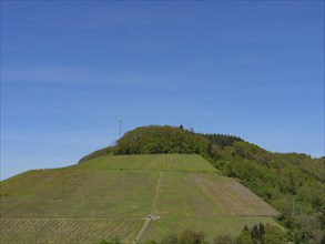 Vineyards on a hill under a blue sky with panoramic view of the surrounding landscape, saarburg,