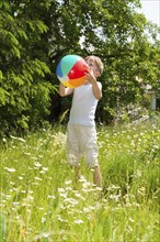 School boy playing with a big inflatable ball on a sunny meadow full of blooming daisies