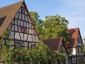 Half-timbered houses with walls overgrown with ivy. Late summer atmosphere under a blue sky,
