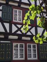 A traditional half-timbered house with green shutters and a vine framing the windows in the