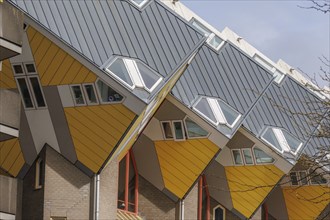 Cubist houses with yellow and grey pitched roofs and large windows, rotterdam, the netherlands