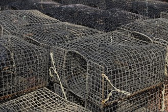 Lobster baskets Fishing baskets