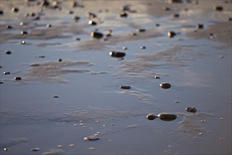 Stone between water and sand