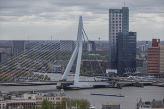 Panoramic view of a city with a modern bridge over a river, surrounded by skyscrapers, Rotterdam,