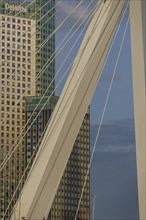 Close-up of a modern bridge with steel cables and skyscrapers in the background, rotterdam, the