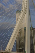 Detailed view of a modern bridge with steel cables and skyscrapers in the background, rotterdam,