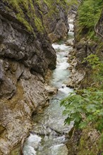 A mountain stream flows through a narrow gorge with rocky walls and lush greenery, gosau, alps,