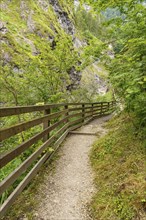 A hiking trail with wooden railings winds through a green, rocky mountain landscape, gosau, alps,
