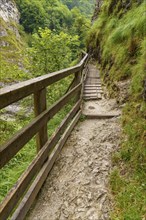 A narrow hiking trail with wooden railings leads through a green and rocky landscape in the forest,