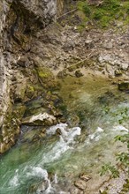A clear mountain river with green water flows through rocky terrain in a natural environment,