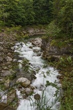 A mountain stream flows through rocky terrain, surrounded by lush green trees in a quiet forest,