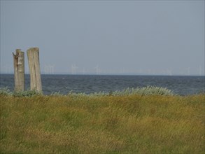 View of the sea and a meadow with wind turbines in the distance, hallig hooge, schleswig-holstein,