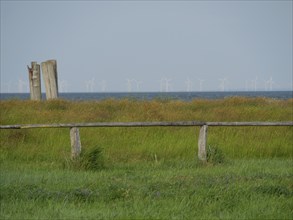 Meadow with fence and sea in the background, several wind turbines in the distance, hallig hooge,