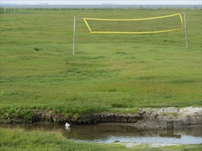 A volleyball net stands on a wide green field next to a small waterhole in the countryside, hallig