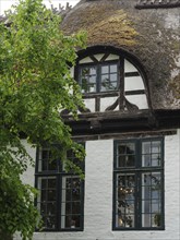 Windows of a half-timbered house with thatched roof, flanked by trees and traditional architecture,