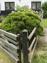 Well-kept garden fence surrounded by green bushes and plants in front of a traditional house,
