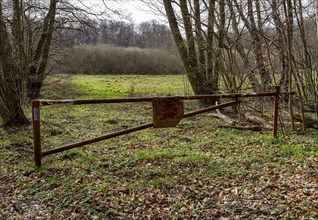 Rusty barrier in a wooded area, Rügen, Mecklenburg-Western Pomerania, Germany, Europe