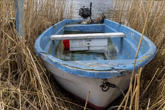 Small boat standing in the reeds, Rügen, Mecklenburg-Vorpommern, Germany, Europe