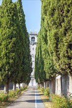 Cypress trees avenue Brescia Lombardy Italy