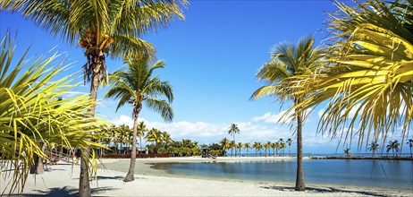 The Round Beach at Matheson Hammock County Park Miami Florida